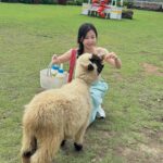 Yu Shuxin