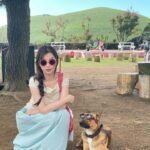 Yu Shuxin