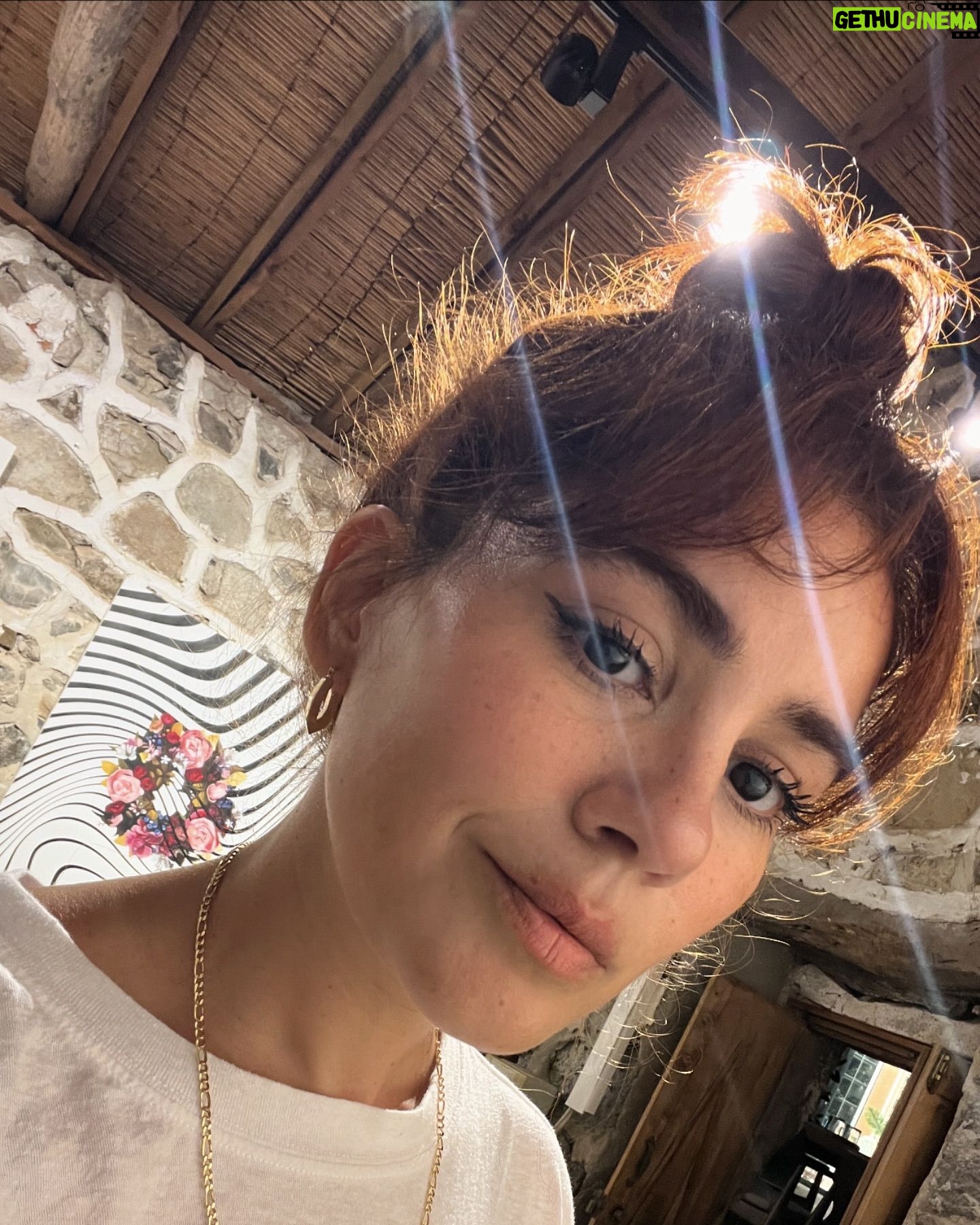 Zeynep Çamcı - 16.6K Likes - 🍋 👸🏻