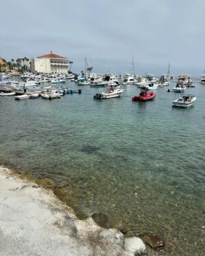 Zulay Henao Instagram - Catalina Island is such a GEM! 💎 

Con la Familia disfrutando este veranito tan rico🏝️💚
