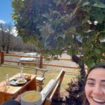 Abril di Yorio