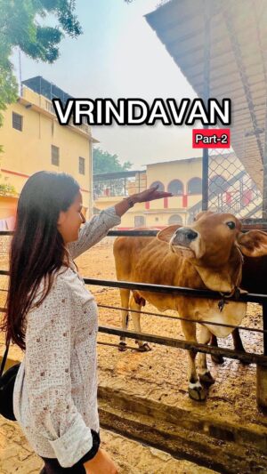 Aditi Singh Khatri Instagram - Mane toh subah ke aarti miss kr de but aap maat karna moka mile toh pakka jana 4.30 am around hoti h aarti agar miss ho jaye wo toh dhaam ko 7pm wali aarti kr lena koi baat nhi ❤️

Fir gaudhalla bhi chale jana 

Uske baad duper kaa lunch karne Gaudiya math chale jana jo Anand vatika ke pass hai 2pm se pahle jana warna khane ke paise nhi dene padte and khaana ekdum tasty hota hai 😍😍😍 

#vrindavan #vrindavandham #krishna #minivlog #dailyvlog #travel #travelindia #dream #backpacking #travelblogger #india #streetsofindia #passionpassport #creator #natural #world #instagood #trendingreels #boi #travelfilm #travelvlog #india #indiatour #indiatravel #bagpacking #solotravel #solo
