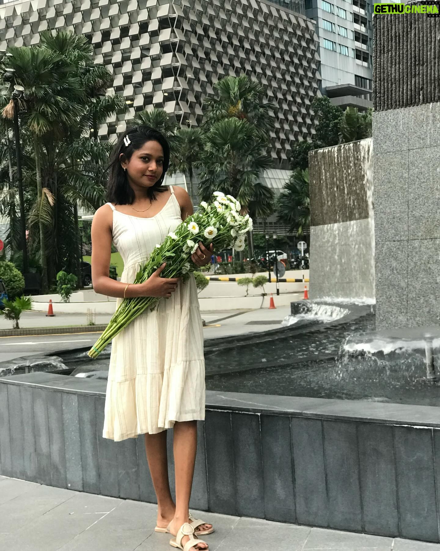Amritha Shaji - 51.4K Likes - 🤍🫀 #amrithashaji