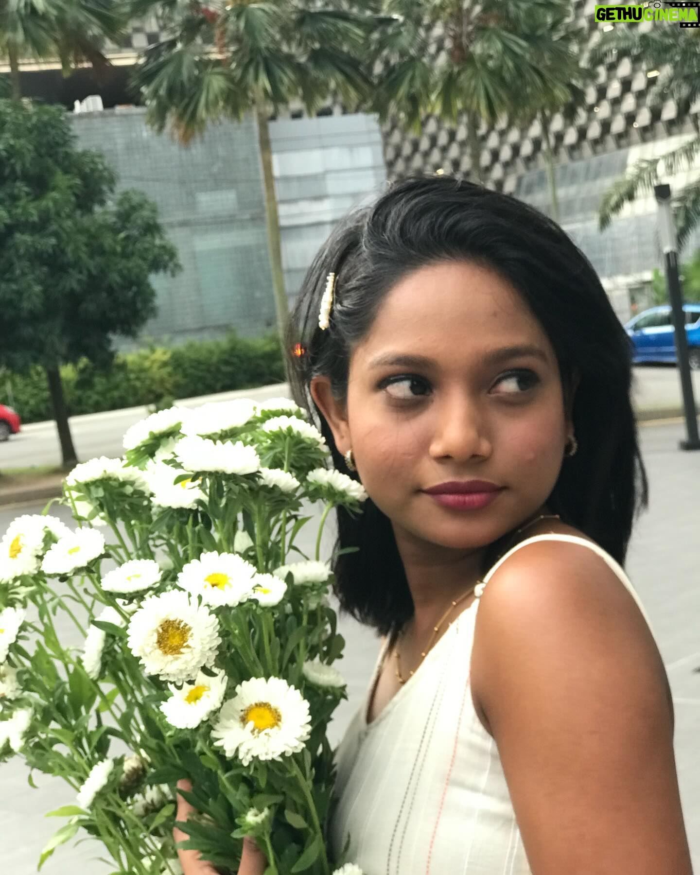 Amritha Shaji - 51.4K Likes - 🤍🫀 #amrithashaji