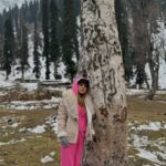 Ankita Dave