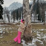 Ankita Dave