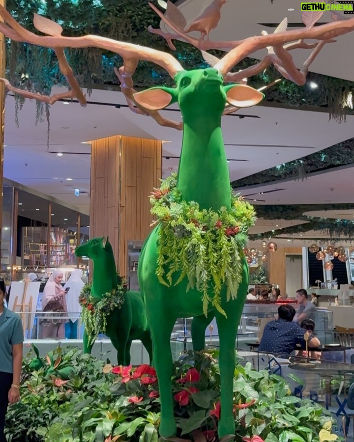 Anu Kanu - 4.8K Likes - Bringing Dreams to life through Decor💚🇹🇭
#anukanu #anukanulove❤️ #aktwins #thailandtravel #thailand #travel