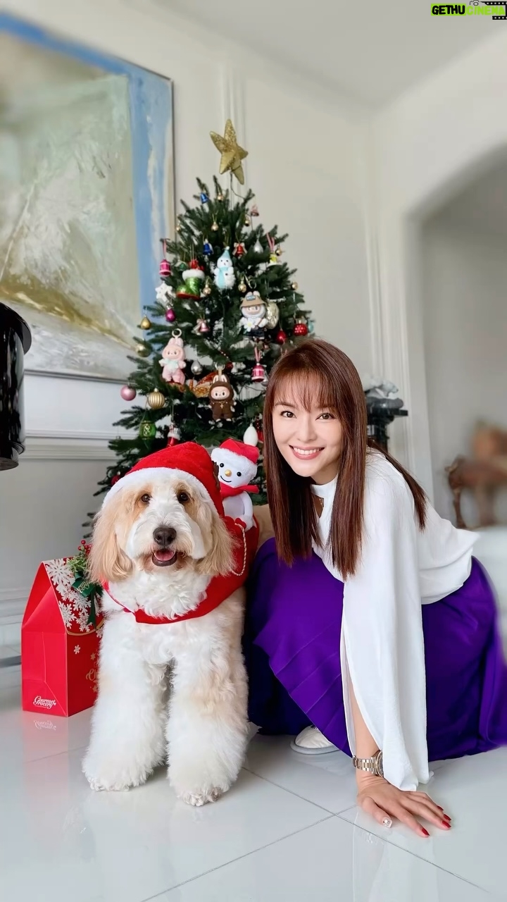 Apple Hong - 306 Likes - Wishing everyone a Merry Christmas 🎄 ❤️😇✨✝️
愿平安喜乐天天伴随你🙏✝️
P/S: 礼物🎁满不满不重要,重要的是心满满❤️
#圣诞快乐 #感谢主 #感谢耶稣 #thankyoujesus #akingisborn #merrychristmas #jesusisthereasonfortheseason