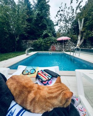 Asena Girişken Instagram - Çiçek gibi🌹