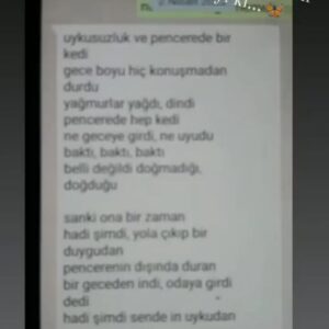 Binnaz Ekren Instagram - Aralık 2021
Yaşlanıyorum Osman' ım.❤️
Ne yaşarsak yaşayalım; o toksik kabusun içinde bile,
eğlenmeyi hep basardık . 
Ve hiçbir şey bitiremedi aramızdaki o teen- agelere ait  flört halini.
Birlikte yaşlanmak hayal oldu ama bir teselli; " hep genç ve hayat dolu  hatırlayacaksın beni". 
Sensiz kocayacağım ömrüm olursa. Sonra bir gün yine hoop  yanına.
Sadece nefes bile alamayacağim kadar sımsıkı sarılmanı degil ( kaburgalarim kırılacak sanırdım, sanki biliyordun zamanın dar olduğunu), 15 dakika sonra barıştığımız kavgalarımızı da çok özledim .
Gelsin bakalım 2025 
Huzursuz olmayacağın, birlikte tasarladığımız bu hayatı sürmeye çalışıyorum tek başıma. 
Senle ama sensiz.
Ellerin hep ellerimde.
Ruhunun ruhumda  dolastığı bir çok sonsuz senelere.
🎄❤️
