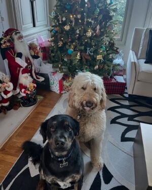 Brittany Wagner Instagram - Family Christmas! 🤶 🎄🎅🏽🎁