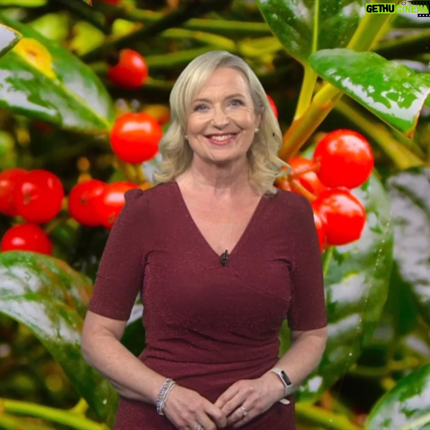 Carol Kirkwood - 2K Likes - Happy Boxing Day! ❤️❤️xxx