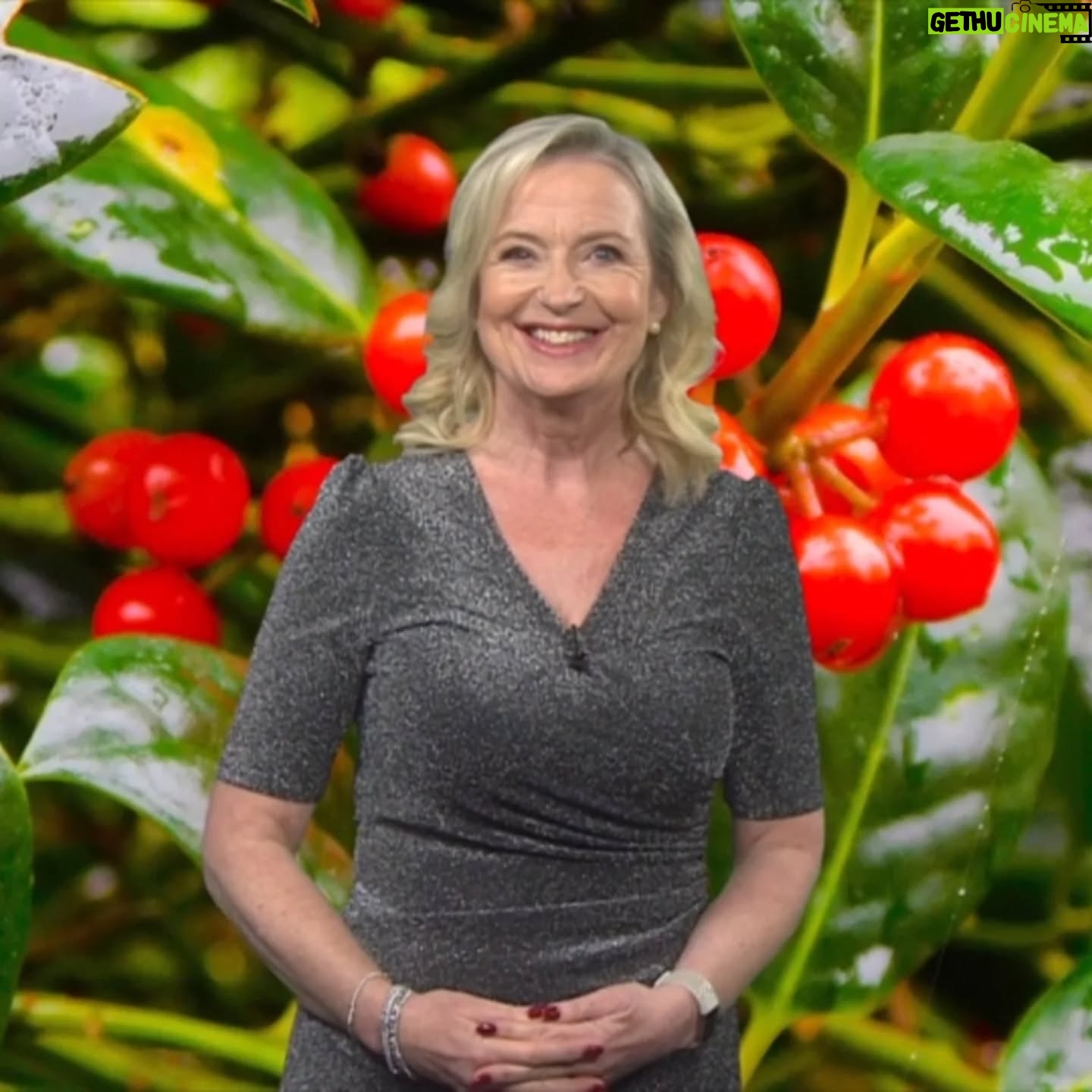 Carol Kirkwood - 2.2K Likes - Happy Christmas Eve Everyone 🎄⛪️🎅♥️♥️xxx
