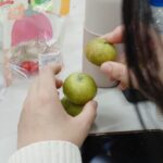 Chen Yan-Fei