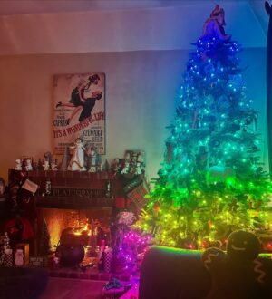 Erika Eleniak Instagram - Happy December! I love this time of year more than any other. The feelings of nostalgia are magical. Here’s to a new and amazing holiday season!
#christmastree 
#happyholidays 
#fireplace 
#nostalgia 
#stockings
#angels