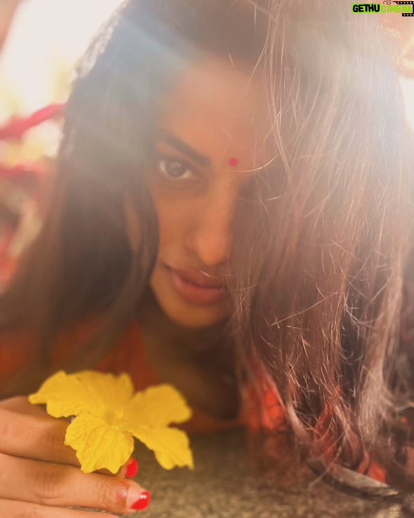 Ganavi Laxman - 3.4K Likes - Home sweet home ❤️❤️❤️#chikcmagaluhudgi#templevibe#flower#hirekayi_flower#jai_nallurama