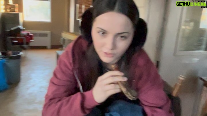 Hannah Cheramy - 55.1K Likes - lil season 3 dump in honour of finale day
-
Join us tonight for an Instagram live with the Fromily