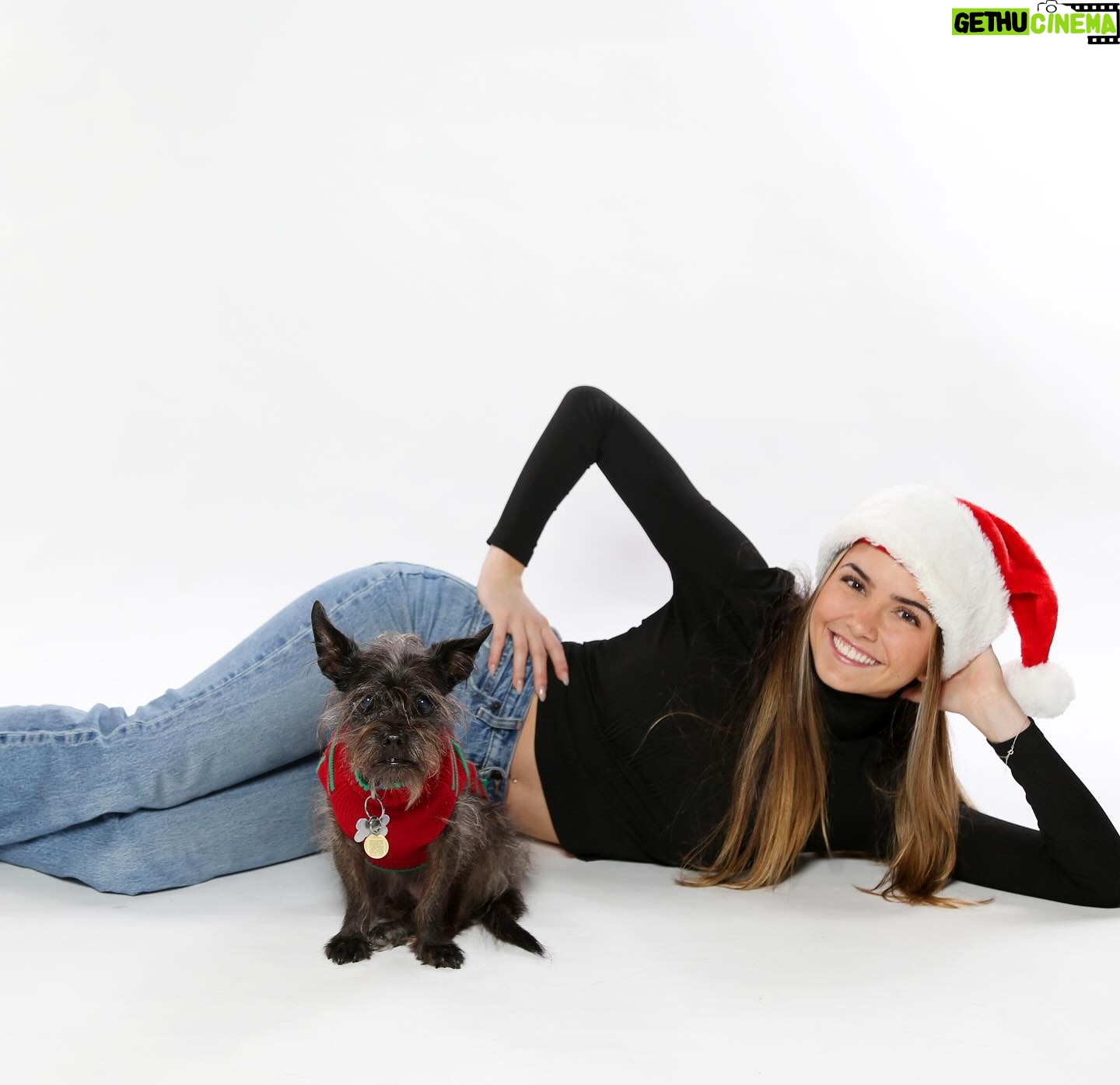 Hannah Cheramy - 28.5K Likes - Merry Christmas, ya filthy animal