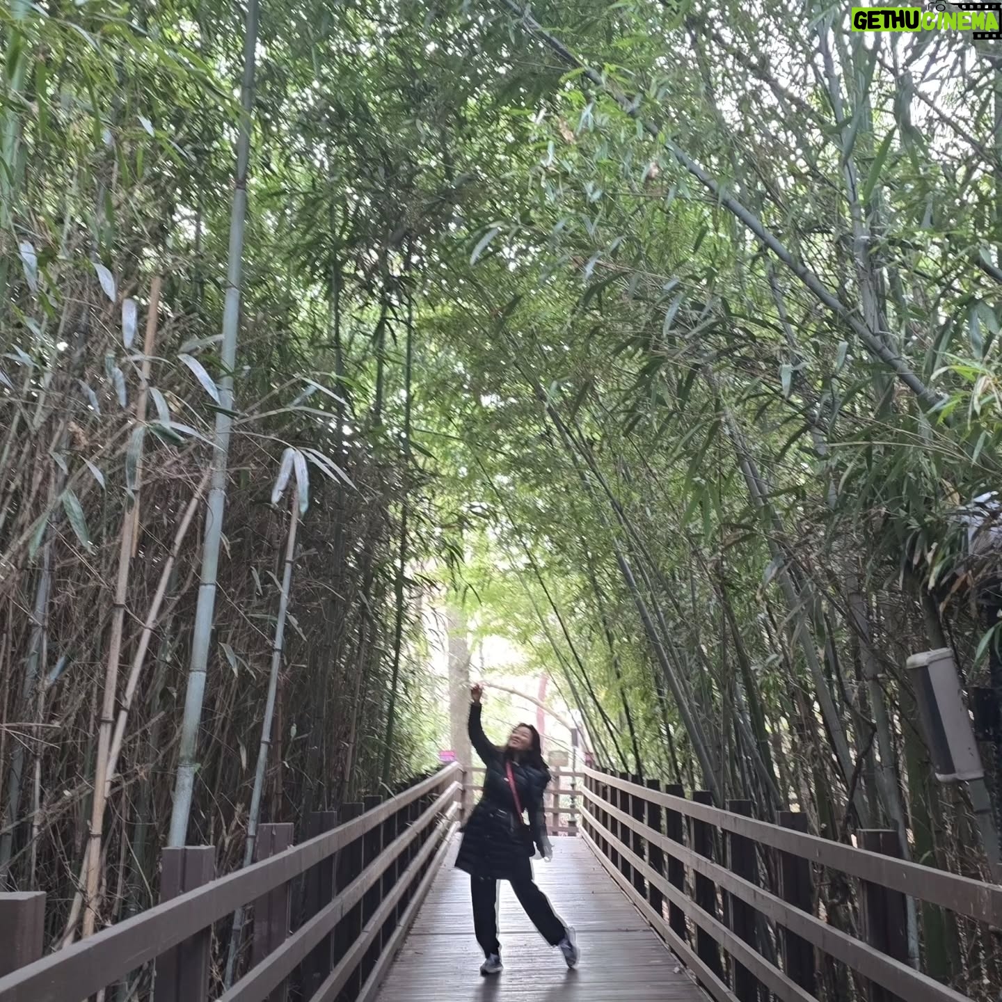 Hong Ji-min - 744 Likes - 힐링 힐링 힐링
큰언니랑 함께 다녀온 포항콘서트
엄마같은 울 큰언니
근데 언니는 자꾸
다음엔 너의 딸로 태어나고 싶다한다 아하하하하 아하하하하
난희대표님 감사합니다
힐링 힐링 힐링
#오르첼 #숲카페 #포항
#림프부종 #리부트카퍼
#촉촉물광 #퍼플미스트