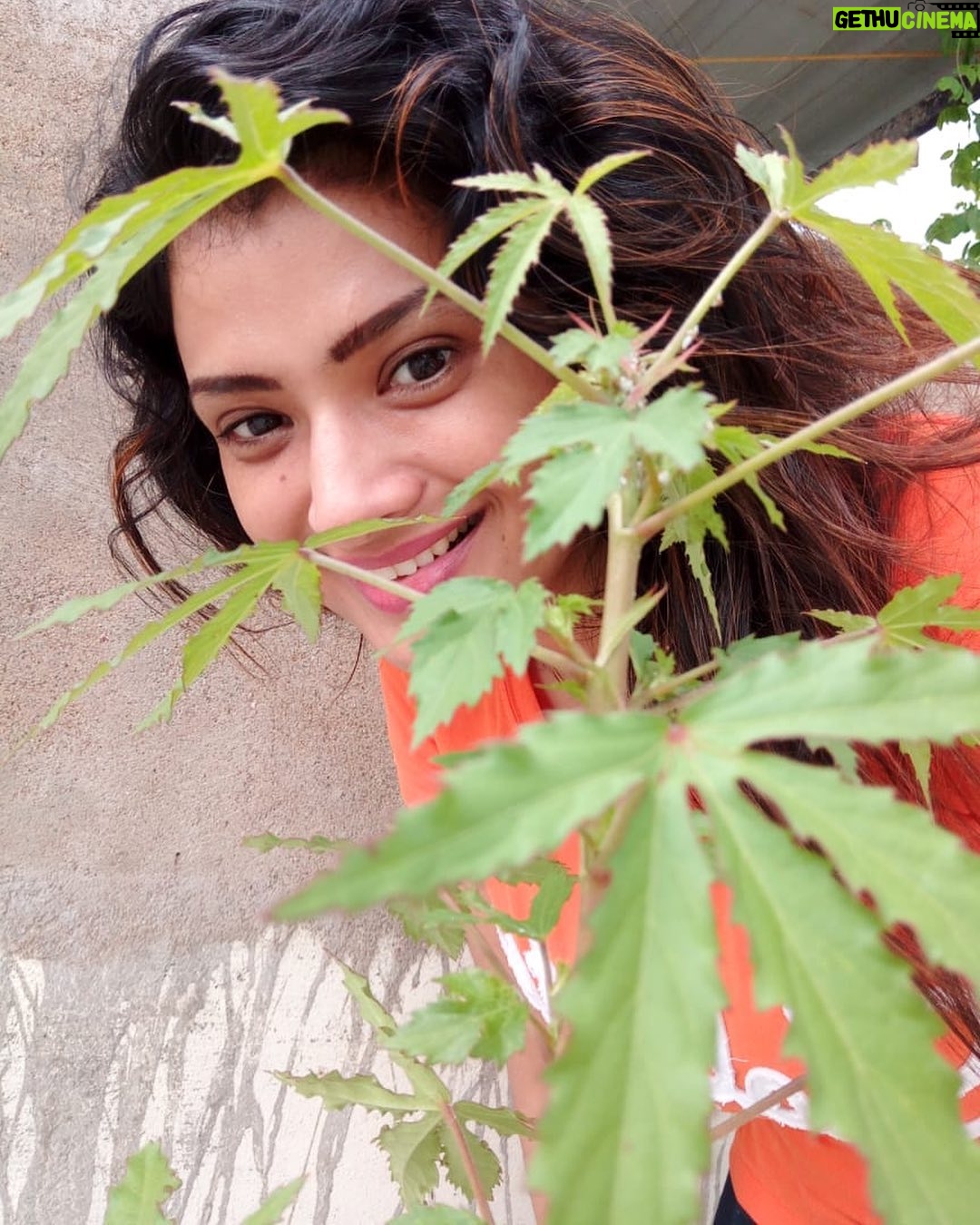 Ishita Vyas - 521 Likes - The cold evening breeze the dusty setting sun painting the canvas of my heart & turning my feeling into words .
- Armana Mitra. #evening#sunset#peace of mind#positive#lockdown2020