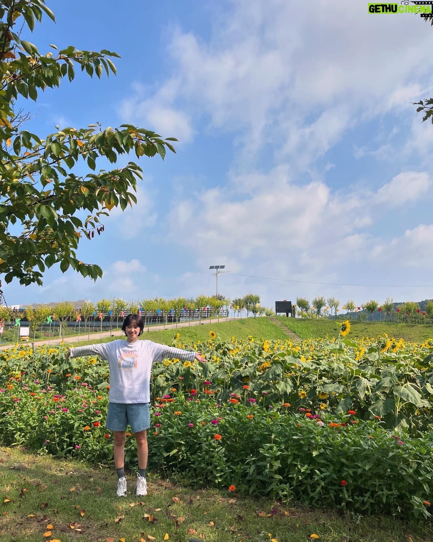 Jeon Hye-jin - 2.5K Likes - 뻥 차인 날 날씨는 맑았네☀
#Tvn #9:20 #사외다