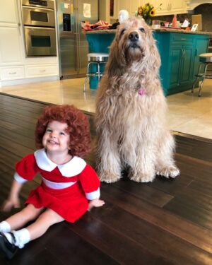 Jessica Collins Instagram - Memories of Halloween Past… 👻🎃