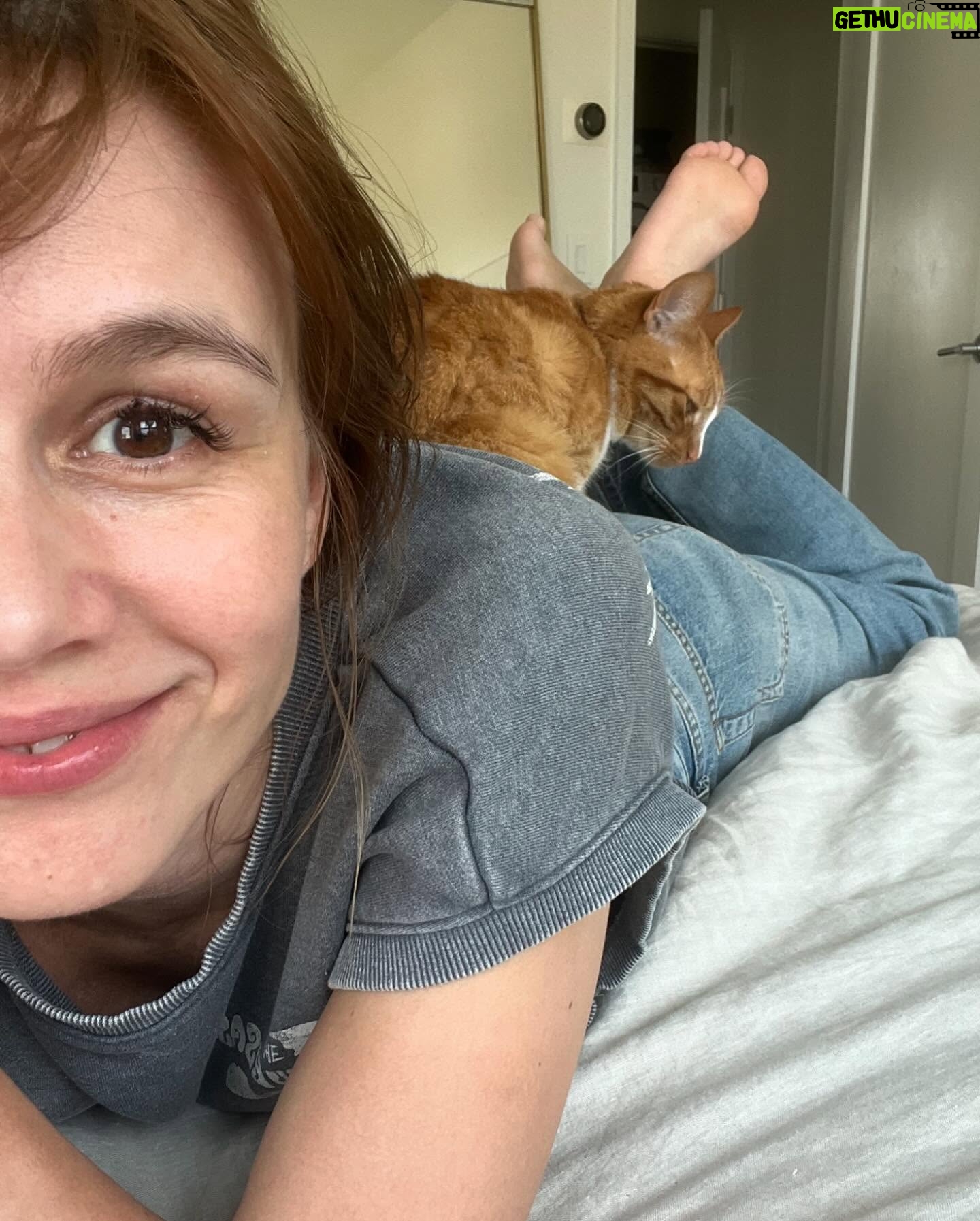 Katja Herbers - 14.1K Likes - Back when I couldnāt care less about cats and was a proud dog-only person to now not moving when cat decides to sit on me #HARRISWALZ