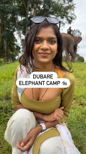 Khyati Shree Instagram - There is not much to do in Dubare elephant camp. On a number of websites it was written you can bathe and oil the elephants but on reaching there people said its not allowed due to swollen river bank. Although many visitors told me it's the same in other seasons as well. I was also expecting some demonstration by guides and Mahouts on the maintainece and training of the elephants, or some notes on the elephant's life and nature, it would have added value to my trip to Dubare. I couldn't really understand what was the purpose of keeping these elephants captive in these camps, what purpose are they filling there, probably an explanation of what happens to elephants in this camp would have left me more satisfied. If you want to see an elephant up close then you can pay a visit to Dubare Elephant camp or the two other elephant camps that are there in Karnataka. All in all there is zero interaction with guides and Mahouts in the camp, I ended up feeling sorry for these animals and only hoped these animals are not just baits for tourists, hope they are well fed and well kept. #karnataka #karnatakatourism #dubareelephantcamp #dubareelephantcamp🐘🐘 #elephant #elephantcamp #coorg