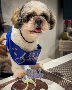 Kshitee Jog Instagram - Our Happiness turns 7 today! 

आमची सात वर्ष आनंदी केल्याबद्दल खूप खूप thank you @vyankudhome1 
Happy Birthday dear boy! 

#vyankudhome #happybirthday #purelove