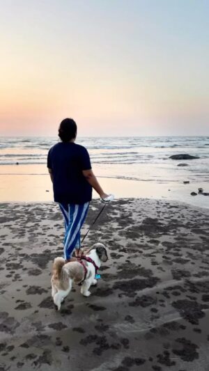 Kshitee Jog Instagram - What an amazing year this has been!!!!
So veryyy grateful for 2023..
Thanku each and everyone of you for all the love, support, lessons everything...
All set to welcome 2024... 

#rockyaurranikipremkahani #thistime #jhimma2 #grateful