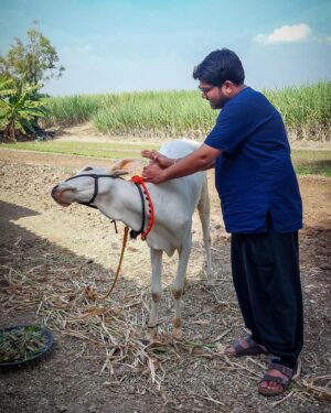 Kshitee Jog Instagram - आपल्या फसक्लास ढोमे फॅमिलीची नवी मेंबर लक्ष्मी! 

#FD #myfamily #myvillage #mylife #laxmi #cow