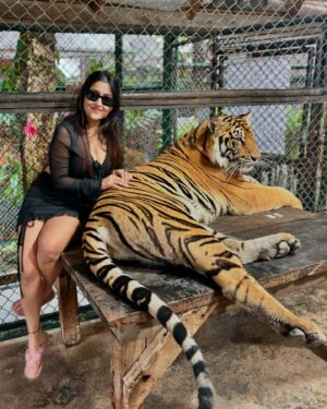 Manul Chudasama Instagram - 🐅🐯💘 
.
.
.
.
.
.
.

.
#photo #phuket #tiger #nature #animal #insta #instagood #instalike #instalove #instamood #instadaily #explore #viral #fyp #courage #strong #fun #adventure