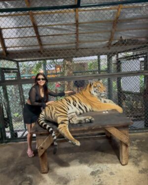 Manul Chudasama Instagram - š
šÆš
.
.
.
.
.
.
.
.
#photo #phuket #tiger #nature #animal #insta #instagood #instalike #instalove #instamood #instadaily #explore #viral #fyp #courage #strong #fun #adventure
