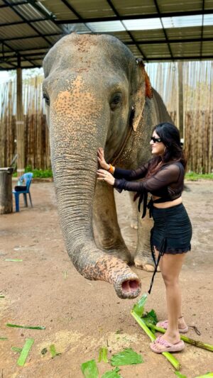 Manul Chudasama Instagram - Main udna chahti hun, daudna chahti hun. Girna bhi chahti hun. Bas, rukna nahi chahti.ā šš§āāļø
.
.
.
.
.
.
#phuket #tiger #elephant #dost #friends #newfriends #funtimes #holiday #travelphotography #reels #reelsinstagram #explore #trending #explore #fyp #viral