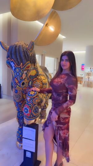 Meetii Kalher Instagram - Kina sohna horse 🐎 😍😍
#meetiikalher #reels #mexico