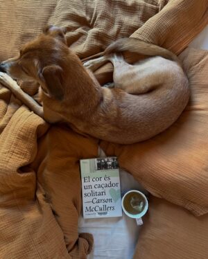 Mireia Oriol Instagram - estos días he estado leyendo El corazón es un cazador solitario de Carson Mccullers y es de esas historias que se van a quedar conmigo para siempre ❤️‍🩹