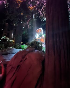 Mithra Kasthurirangan Instagram - Day 1 at Universal Studios! 🤩🤩My inner child is truly in her happy place.❤️❤️