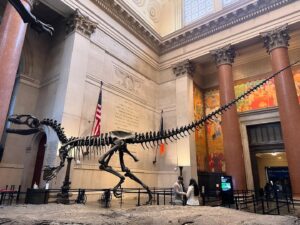 Ophelia Lovibond Instagram - Plateosaurus and pickles 🦕🥒 #ilikeithere #fallinnyc #🍁 #newyorkcitysubway #museumofnaturalhistory @bembien @missomalondon @amnh #🗽 #manhattan