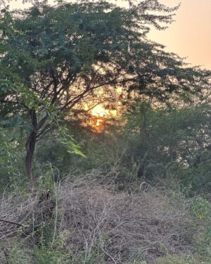 Parul Gulati Instagram - नानी का घर ।
