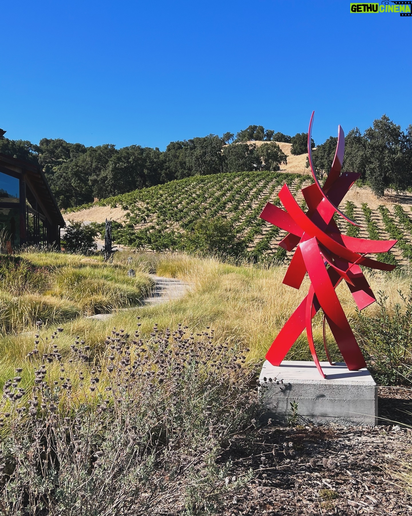 Polina Goudieva - 205 Likes - Not a country girl but waking up and falling asleep stargazing on a 7000 acre rancho has it’s x 🤍 #pasorobles