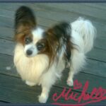 Reila Aphrodite