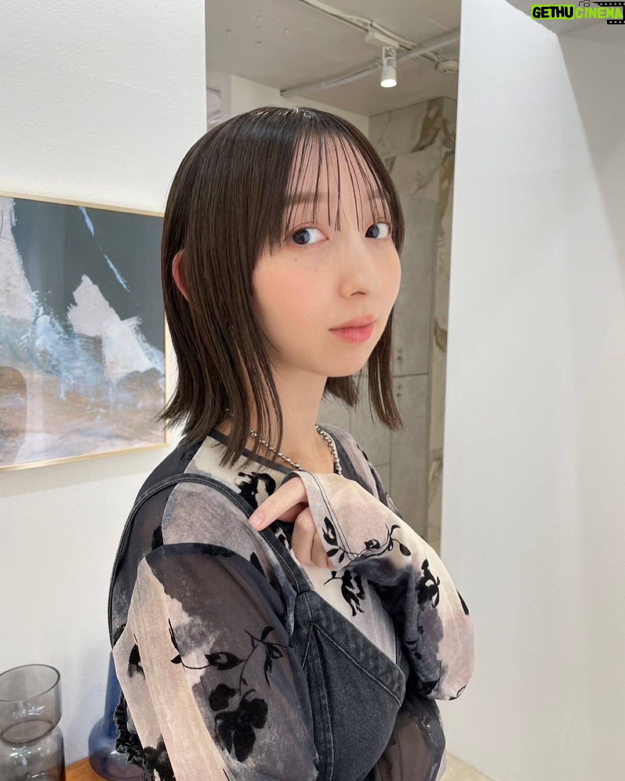 Riho Iida - 3.6K Likes - 🩶
プリパラライブのエクステに合わせての
カラーにしていただきました🐰🐰
@yasugi_eriko