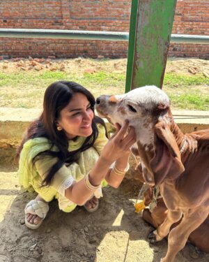 Ritu Rathee Instagram - Our first Desi Gir Cow arrives at our farm. These are the purest breed of our indeginous desi cows. 
.
They posses imense health benefits to humans as mentioned in our Veda’s and Purana’s . 
.
Unfortunately only 5-7% of pure desi breeds have remained as their milk has a low fat quantity and they produce less milk as compared to HF/ Jersey breeds.
.