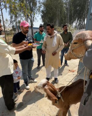 Ritu Rathee Instagram - Our first Desi Gir Cow arrives at our farm. These are the purest breed of our indeginous desi cows. 
.
They posses imense health benefits to humans as mentioned in our Veda’s and Purana’s . 
.
Unfortunately only 5-7% of pure desi breeds have remained as their milk has a low fat quantity and they produce less milk as compared to HF/ Jersey breeds.
.
