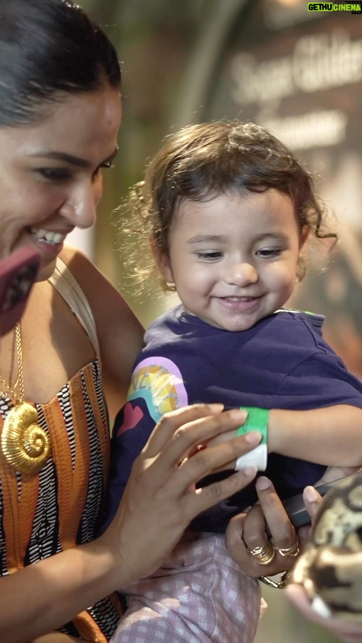 Ritu Rathee - 1.2 Million Likes - It was so much fun to feed🦇, touch 🐍 . Raashi aur Pihu ne bhi kaafi maje kiye, after all kids love watching their favourite birds & animals.
Amazing place to get your kids along & enjoy with them.
#Dubai #DubaiVacay #Familyvacation #pilotvlogger #pilotmother👩🏻✈️❤️✈️