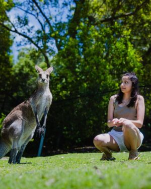 Sufi Malik Instagram - no sufi was harmed 🦘 

@queensland #thisisqueensland @australia