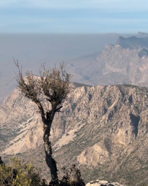 Uroosa Khan Instagram - Forever that girl obsessed with God’s creations⛰️🌱

📍 Gorakh Hill Station

#gorakh #gorakhhillstation #sindh #pakistantourism