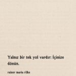 ?pek Erdem