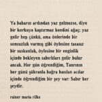 ?pek Erdem