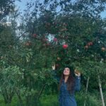 Aalisha Panwar